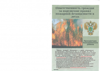 Ответственность граждан за нарушение правил пожарной безопасности в лесах